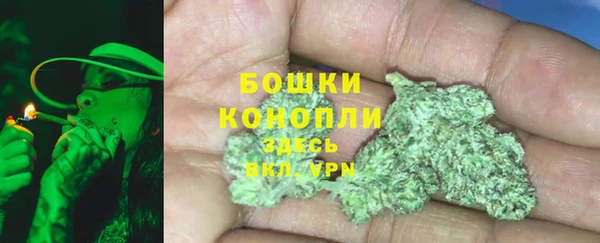 хмурый Лиски
