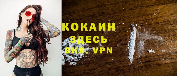 хмурый Лиски