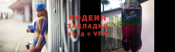 хмурый Лиски