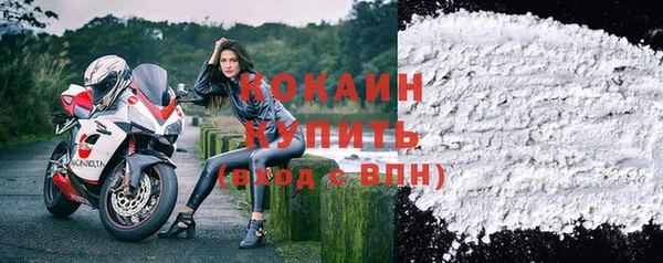 хмурый Лиски